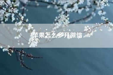 苹果怎么多开微信。方舟不能拆家的服务器有哪些？