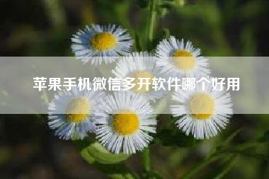 苹果手机微信多开软件哪个好用-应用与手机不兼容，怎么回事?