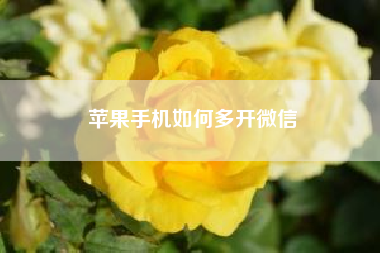苹果手机如何多开微信--苹果历史？