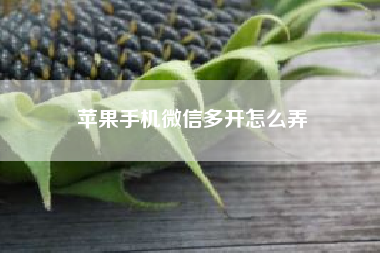 苹果手机微信多开怎么弄 iPhone的夜览模式和省电模式一直开启有什么副作用吗