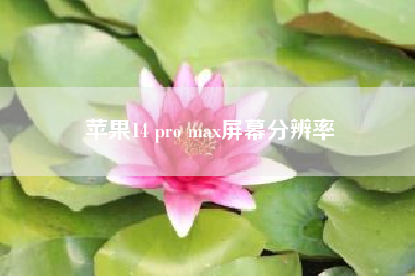 苹果14 pro max屏幕分辨率？如何设置游戏分辨率？
