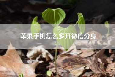 苹果手机怎么多开微信分身　苹果8怎么切换多任务？