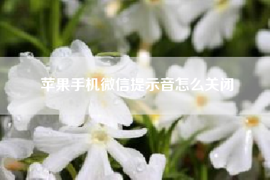 苹果手机微信提示音怎么关闭(苹果手机提示音怎么关闭)