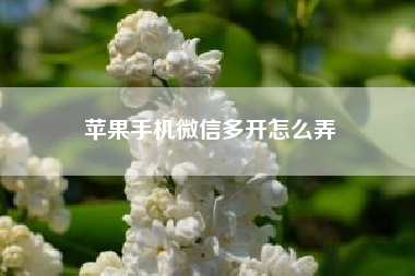 苹果手机微信多开怎么弄（iOS内购错误码及解决方案）