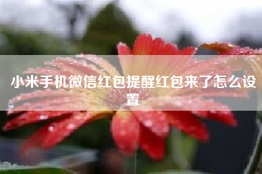 小米手机微信红包提醒红包来了怎么设置(苹果手机怎么设置红包自动提醒)
