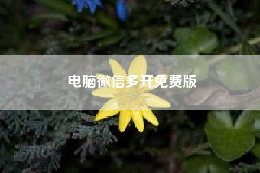 电脑微信多开免费版(苹果手机微信多开有什么软件)