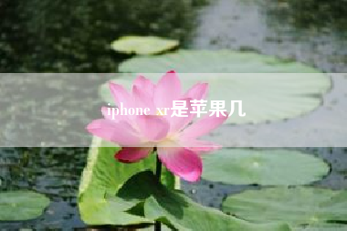 iphone xr是苹果几_微信如何多开苹果手机？
