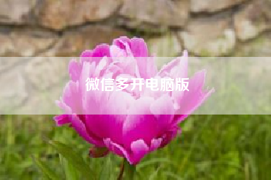微信多开电脑版(苹果怎么双开微信同时可以收到消息)