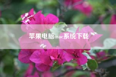 苹果电脑mac系统下载(苹果电脑怎么开三个微信)