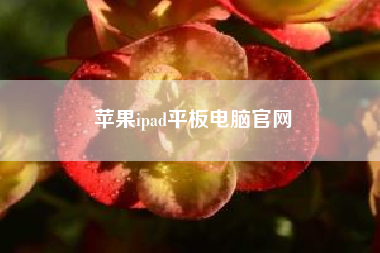 苹果ipad平板电脑官网__如何在ipad上同时登陆两个微信账号。？