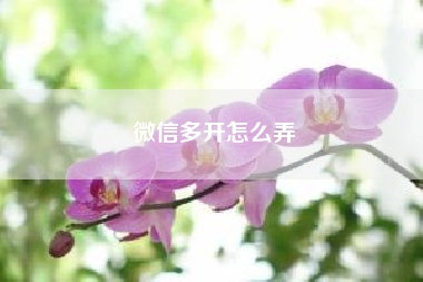 微信多开怎么弄（苹果手机不支持微信支付了是真的吗）