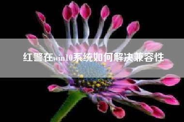 红警在win10系统如何解决兼容性-为什么那些苹果微信多开会闪退？