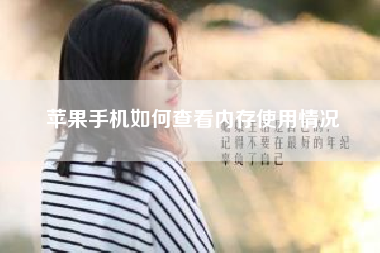 苹果手机如何查看内存使用情况（苹果手机登录过几个微信怎么能看出来）