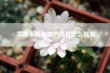 苹果手机删除的照片怎么恢复……苹果手机微信密码储存怎么删除？