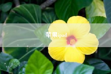 苹果ipad；ipad微信退出登录后,原先的数据怎么清除