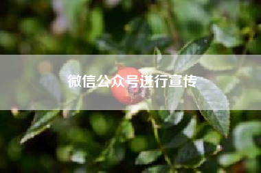 微信公众号进行宣传?公众号怎么推广?