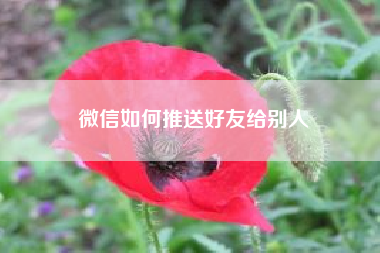 微信如何推送好友给别人~~微信推送消息怎么编辑制作?