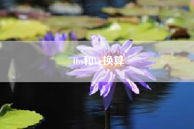 lbs和kg换算　微信营销的方法 如何进行微信营销?