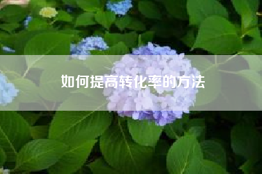 如何提高转化率的方法?怎样提高微信公众号广告的转化率?