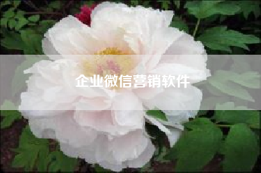 企业微信营销软件?微信公众号如何在自定义菜单下使用消息模板ID?