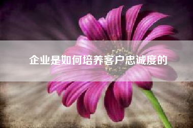 企业是如何培养客户忠诚度的——如何提高用户的品牌忠诚度？