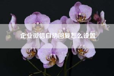 企业微信自动回复怎么设置?企业微信有自动回复的功能吗?