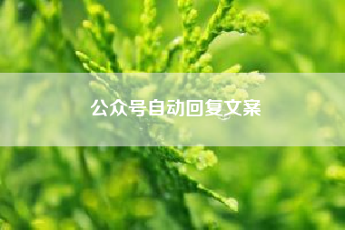 公众号自动回复文案,微信企业号怎么设置自动回复?