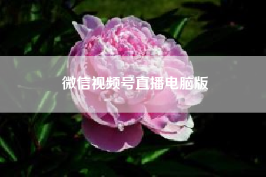 微信视频号直播电脑版(当下直播正如火如荼地发展，企业该如何利用微信进行直播)