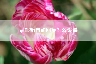 qq邮箱自动回复怎么设置,企业微信有自动回复的功能吗？