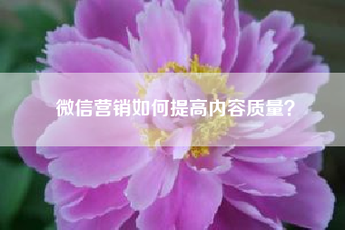 微信营销如何提高内容质量？（微信营销有哪些技巧）