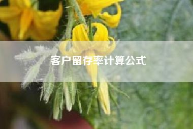 客户留存率计算公式　微商如何引流精准客户？