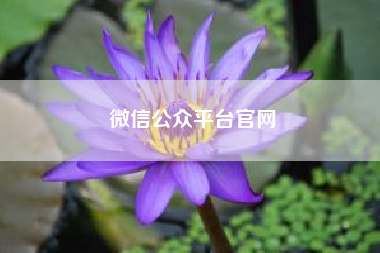 微信公众平台官网?如何增加公众号粉丝?