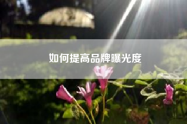 如何提高品牌曝光度？企业微信该如何营销引流？有哪些方法？