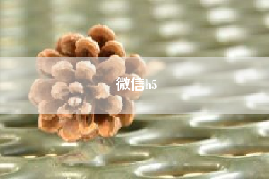 微信h5~如何制作出有逼格的微信H5页面