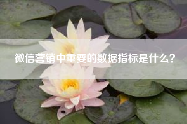 微信营销中重要的数据指标是什么？(微信运营与营销要如何做？求告知)