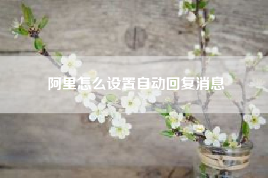 阿里怎么设置自动回复消息（企业微信自动回复怎么设置）