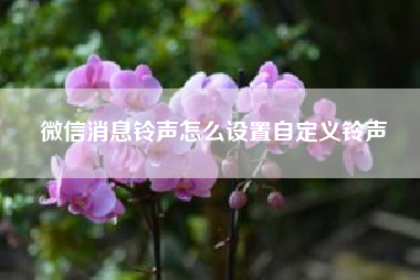 微信消息铃声怎么设置自定义铃声？微信公众平台消息模板这么用