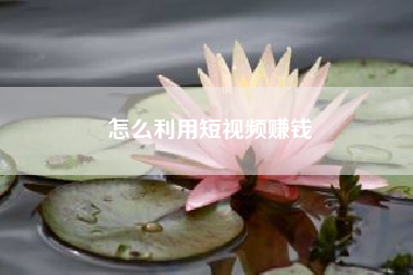 怎么利用短视频赚钱—你是如何做好短视频营销的?