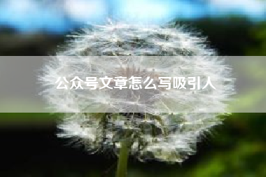 公众号文章怎么写吸引人；微信文章怎么写吸引人
