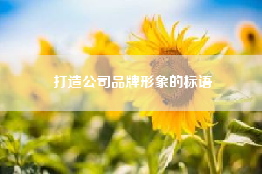 打造公司品牌形象的标语-微商进入品牌时代，怎样树立微商品牌形象?