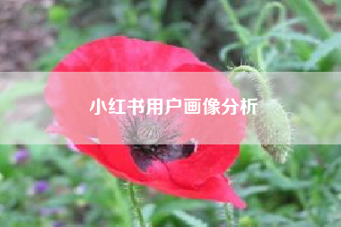 小红书用户画像分析__用户画像分析怎么做？