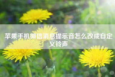 苹果手机微信消息提示音怎么改成自定义铃声(企业微信如何发布申请模板)