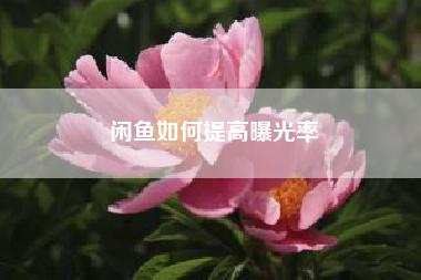 闲鱼如何提高曝光率,企业微信营销推广怎么做
