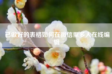 已做好的表格如何在微信里多人在线编辑~~网络推广微信活动应该如何做