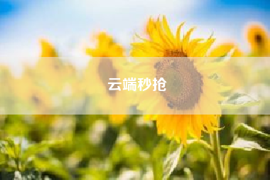 云端秒抢（抢红包神器哪个最好用）