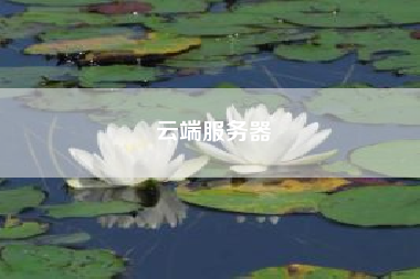 云端服务器.萌兔秒抢红包云端安全吗?