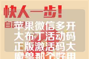 苹果微信多开大布丁活动码正版激活码大魔兽那个好用