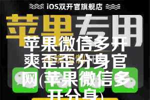 苹果微信多开爽歪歪分身官网(苹果微信多开分身)
