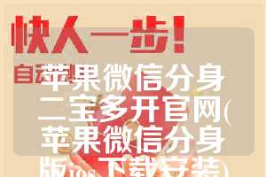 苹果微信分身二宝多开官网(苹果微信分身版ios下载安装)
