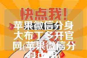 苹果微信分身大布丁多开官网(苹果微信分身中国)